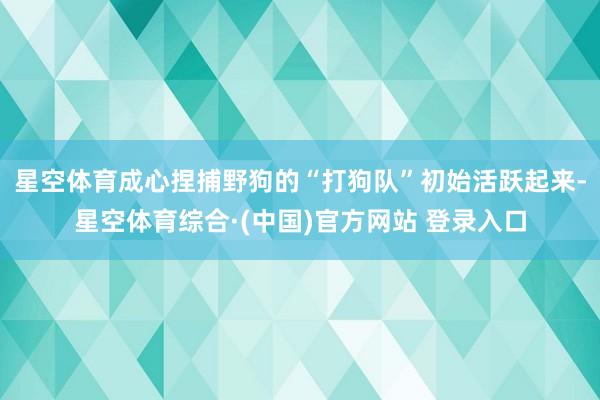星空体育成心捏捕野狗的“打狗队”初始活跃起来-星空体育综合·(中国)官方网站 登录入口