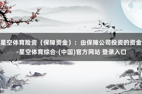星空体育险资（保障资金）：由保障公司投资的资金-星空体育综合·(中国)官方网站 登录入口