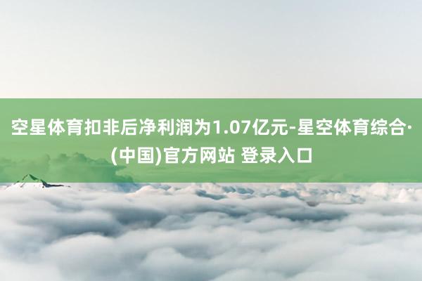 空星体育扣非后净利润为1.07亿元-星空体育综合·(中国)官方网站 登录入口