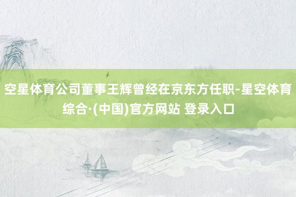 空星体育公司董事王辉曾经在京东方任职-星空体育综合·(中国)官方网站 登录入口
